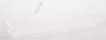 Smeg Butter Bowl - 760392159 Cheese Butter Shelf