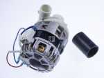 Circulating Motor - 1030721 Circulation Pump [Amica]