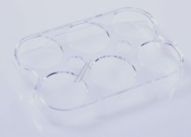 Hisense Gorenje Egg Compartment Fridge - Hk2197006 Egg Rack