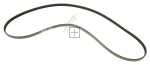 Poly v belt - 1036149 Poly-v-belt 5pje1239 [Amica]