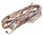 Temperature Sensor For Refrigerators - Freezers - 1036368 Temperature Display Sensor [Amica]